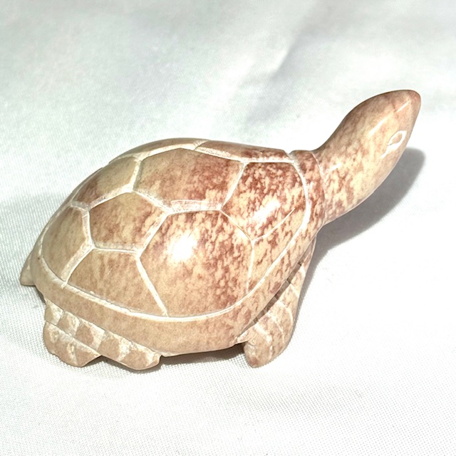 Large turtle - natural (pink) IMG_3927