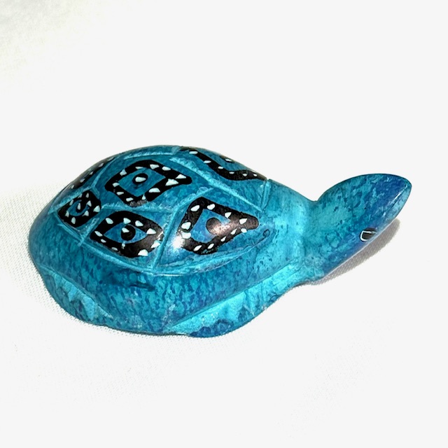 Small turtle - light blue - IMG_3939